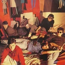 Bluebells.jpg (157 KB)