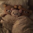 Three teddies tucked in bed