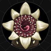 Wormorok
