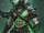 Kasimir Nightshade