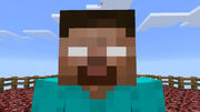 Herobrine IV (2009-present).jpg