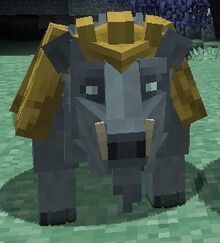 Taegore.jpg