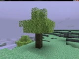Skyroot Tree