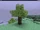 Skyroot Tree