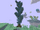 Dark Blue Skyroot Tree