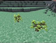 Green Skyroot saplings