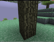 The texture on the Skyroot logs