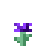 Display Purple Flower.png