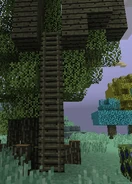 Skyroot Ladders.png (122 KB) A set of Skyroot Ladders for a base