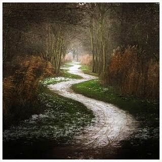 Winding Road.jpg