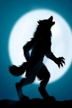 Wolfie.jpg