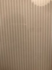 0111E0A8-647D-44F0-86E8-D7E6F355F519.jpeg