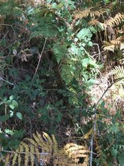 D463E7B7-EDB8-480C-A38E-8D1D841EE151.jpeg