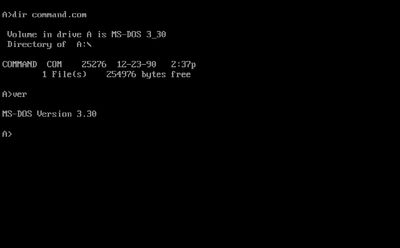 IE-MSDOS.jpg