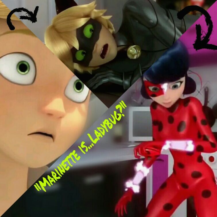 the miraculous fandom be like : r/miraculousladybug