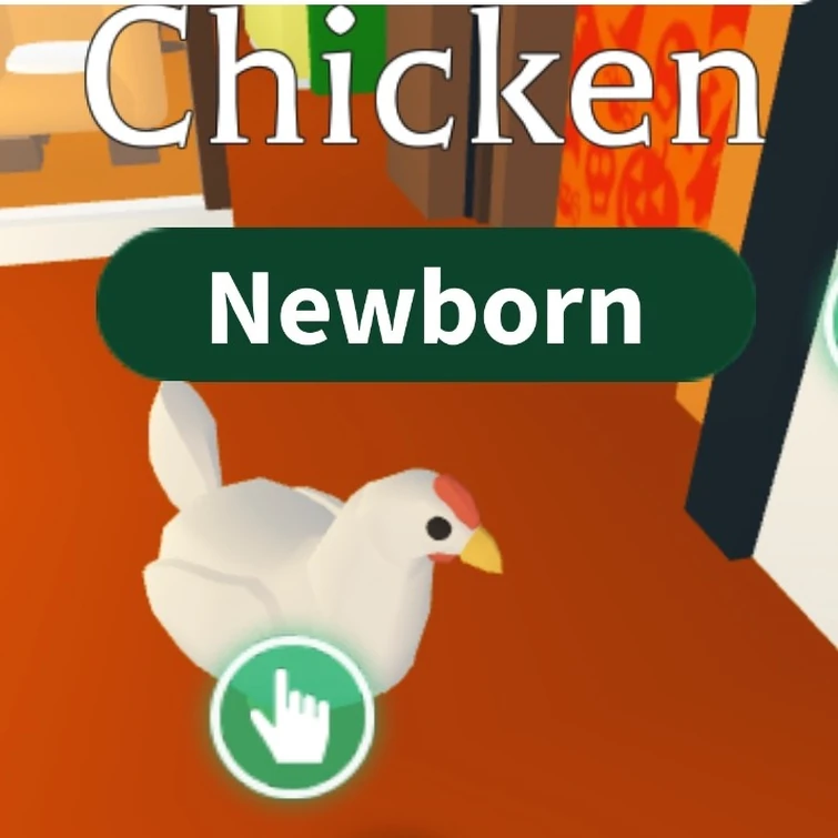 Chicken | Fandom