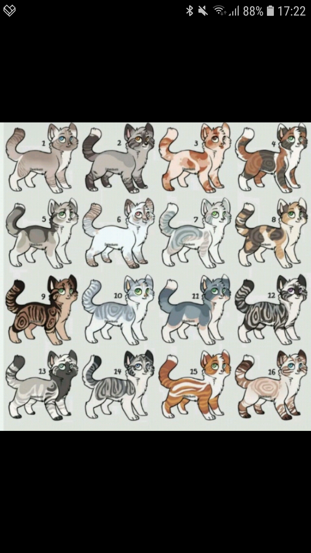 Коты Воители адопты