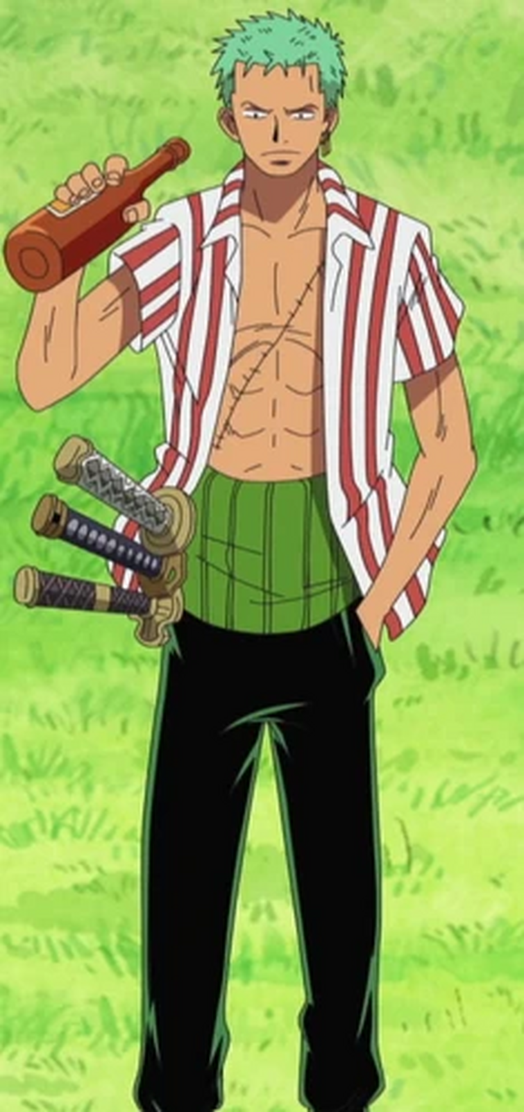 Zoro's pretimeskip picture on the wiki | Fandom