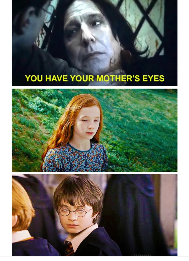 Daily meme | Fandom