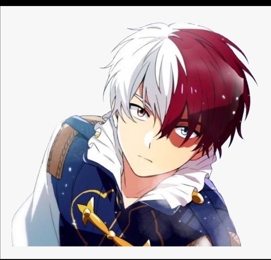 Todoroki Shouto принц