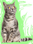 GhostAlleyCat's avatar