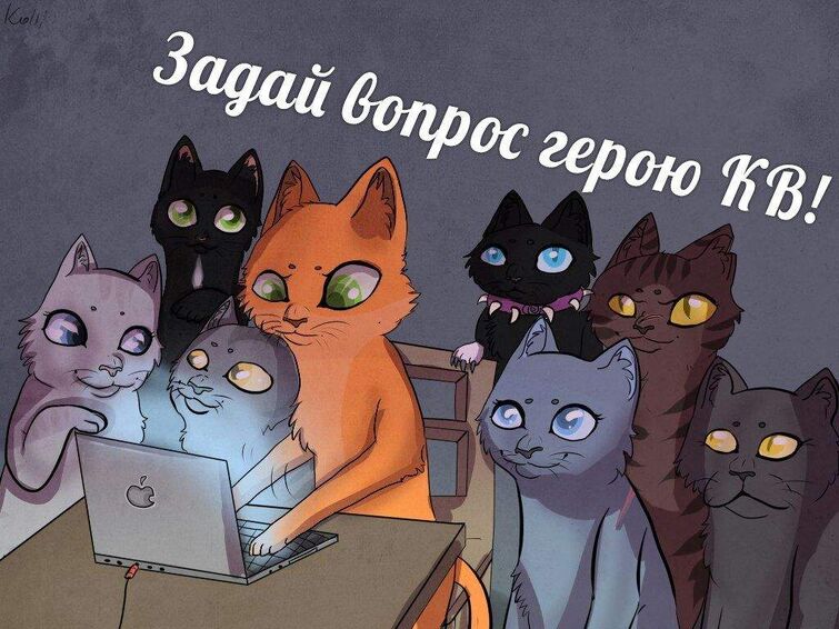 Мемы с котами воителями на русском языке