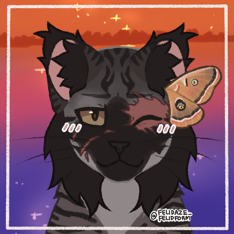 felidaze's cool cat creator｜Picrew