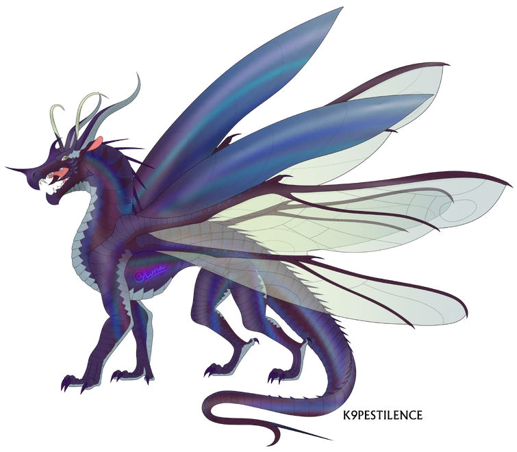 beetlewings wings of fire
