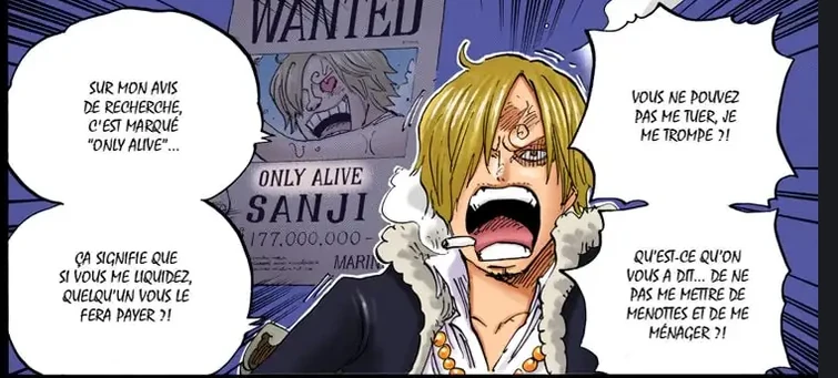 La Puissance De Sanji Partie 3 Fandom