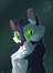 FroggyCakes's avatar