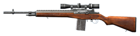 M14 modified small.png