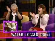 Water Logged Dog Season 9 Episode 24