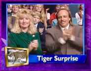 Tiger Surprise