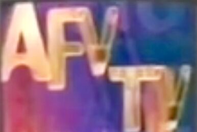 America's funniest home videos youtube 2018 store