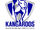 North Melbourne Logo.jpg