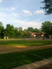 Dice baseball field