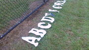 ABCs by fence at SueM