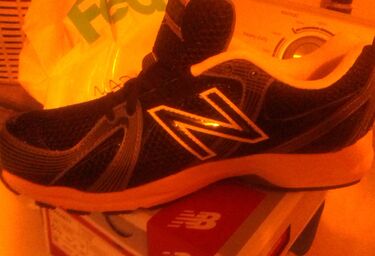 New balance shoe pic