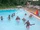 IMG 20150708 113935.jpg