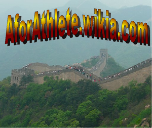Great Wall-logo.png
