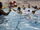 DSCF4659.JPG