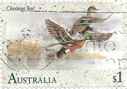 Stamp-AUS-chestnut teal.jpg
