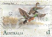 Stamp-AUS-chestnut teal