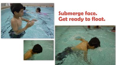 Voyagers-submerge-face-toward-flot