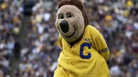 Cal_Mascot_Oski