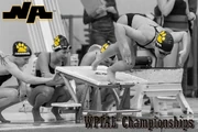 NA Tigers relay.