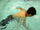 DSCF4592.JPG