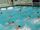 Backstroke-head-high-water-polo.jpg