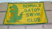Bernals Gator Swim Club banner