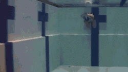 S is for streamline as shown by a swimmer with , a video service with excellent resources.